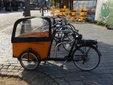 Náhled: kolo s vozíkem pro děti
