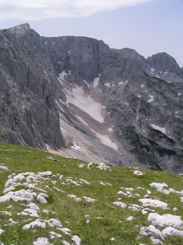 fotka