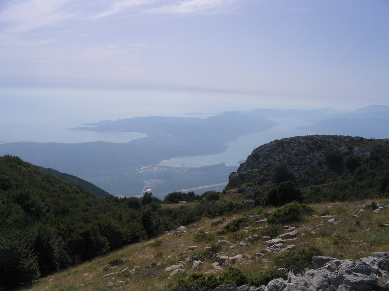 fotka
