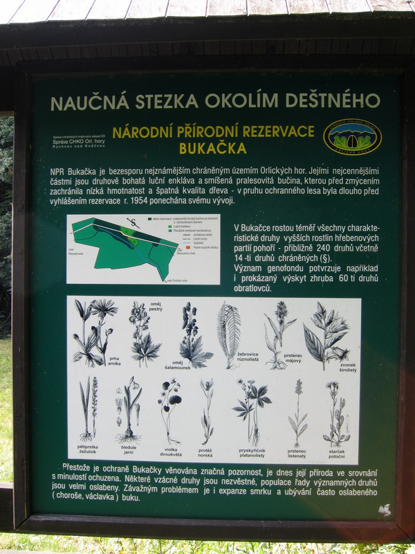 fotka