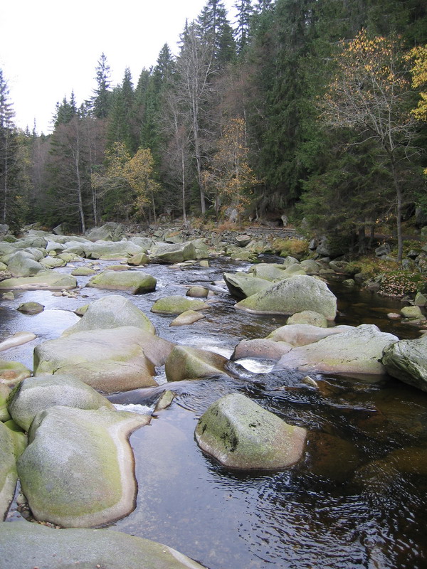 eka Vydra IV