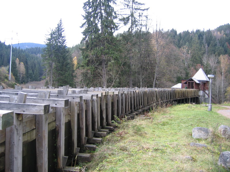 ekova pila