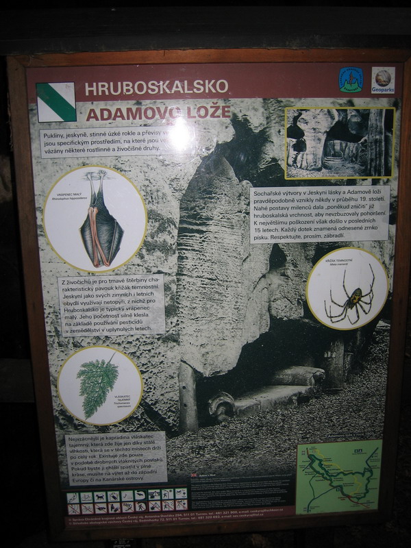 Cedule Adamovo loe