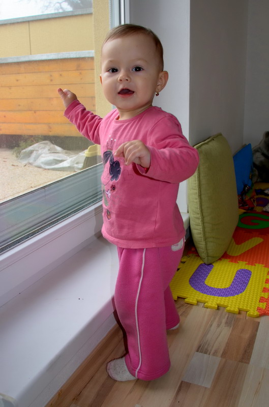 z okna se dvm na ptky v krmtku