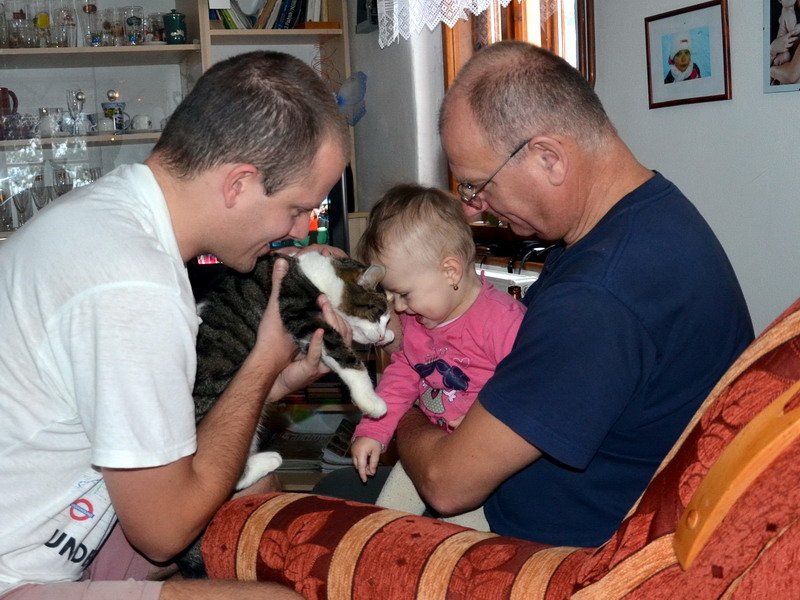 mazlen s koikou